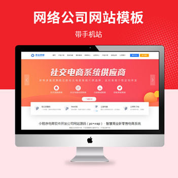 软件开发网络公司源码模板